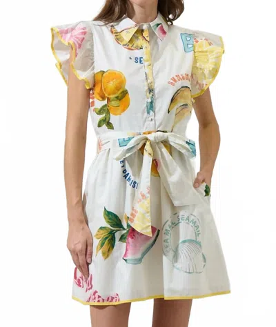 Sugarlips Ruffle Collared Mini Dress In Island Fruit In White