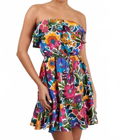 Sugarlips Santa Elena Mini Dress In Floral Multi