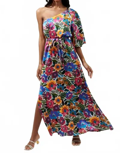Sugarlips Santa Elena One Shoulder Maxi Dress In Floral Multi