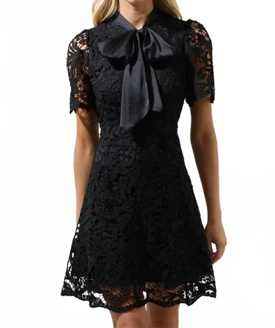 Sugarlips Women's Abilene Bow Crochet Mini Dress In Black
