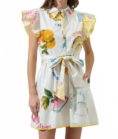 SUGARLIPS ZAHRA ISLAND MAIA RUFFLE COLLARED MINI DRESS IN MULTI