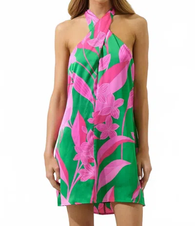 Sugarlips Zarae Blossom Lissa Halter Shift Mini Dress In Fuchsia Green Multi