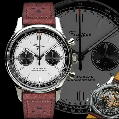 Pre-owned Sugess Swan Neck Exhibition Case Back Chrono Mens Watch Seagull 1963 Supank002z