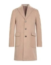 Suit Sartoria Man Coat Camel Size 46 Wool, Polyester In Sand
