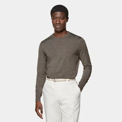Suitsupply Taupe Crewneck