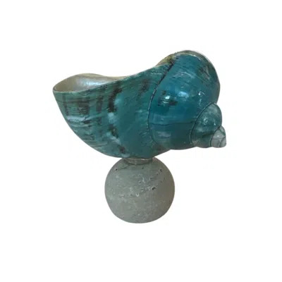 Suki Wang London Blue Natural Seashell Jewelry Decor