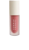 Summer Fridays Dream Lip Oil For Moisturizing Sheer Coverage Blush Dreams 0.15 oz In Blush Dreams