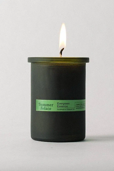 Summer Solace Tallow Candle In Evergreen Essence At Urban Outfitters