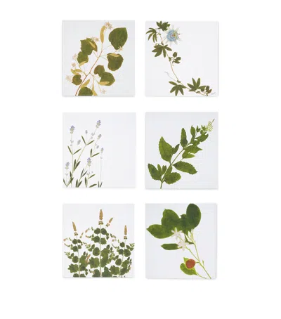 Summerill & Bishop Set Of 6 Linen Tisane Herb Garden Napkins In Green