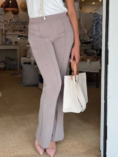 Summum Travelista Pant In Funghi In Gray