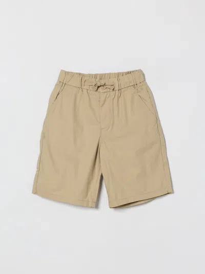Sun 68 Kids' ショートパンツ Sun68 ボーイ カラー グレー In Neutral