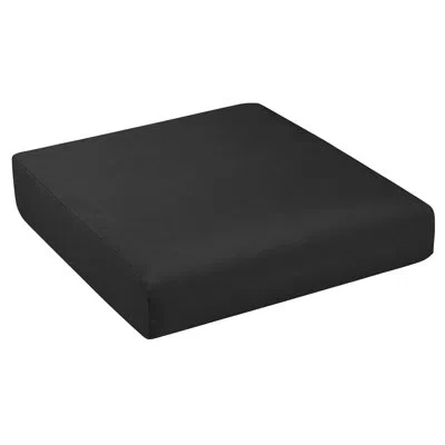 Sunbrella 1 - Piece Cushion In Black