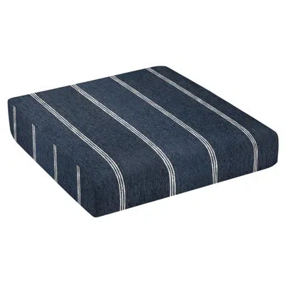 Sunbrella 1 - Piece Cushion In Blue
