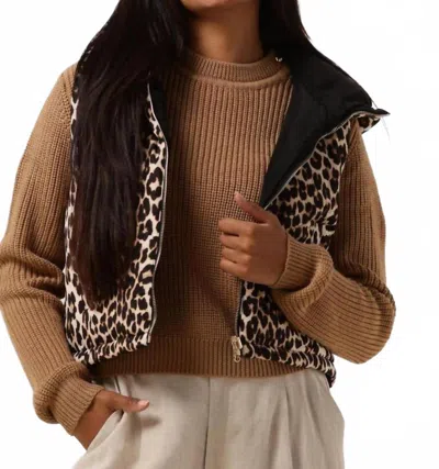 Suncoo Dazzle Reversible Vest In Black/brown/cream In Multi