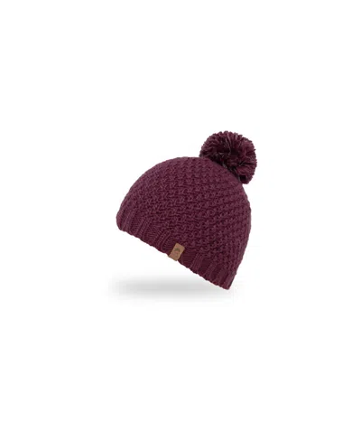 Sunday Afternoons Glissade Ponytail Beanie In Raisin