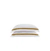 Sunday Citizen Frame Viscose From Bamboo Sham Pair, Standard In Gold