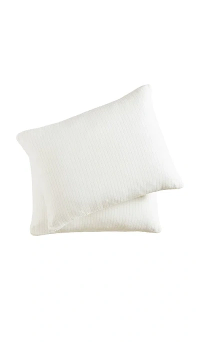 Sunday Citizen Standard Herringbone Snug Sham Set In Off White