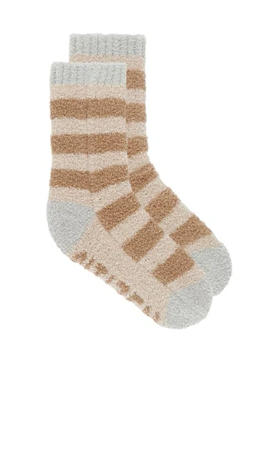 Sunday Citizen Striped Snug Socks In Multi