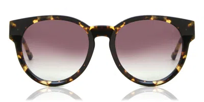 Sunday Somewhere Calypso C2 Men's Sunglasses Tortoiseshell Size 54 In Brown