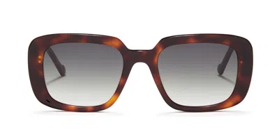 Sunday Somewhere Grace C4 Occhiali Da Sole Tartarugatishell Per Donna In Brown