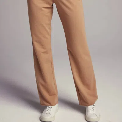 Sundays Lynx Pants In Brown