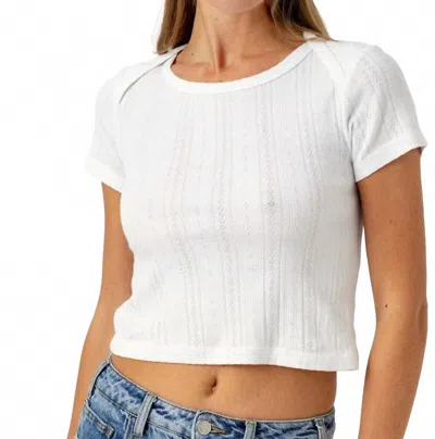 Sundays Pointelle Baby Brother Tee In White In Multi