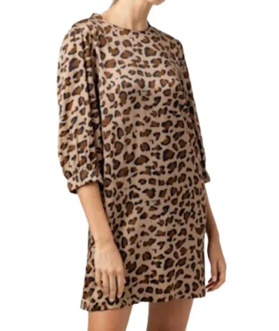 Sundays Russel Dress In Animal In Multi