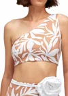 Sundek Bimala Bikini Top In Earth In Brown
