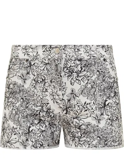 Sundek Shorts