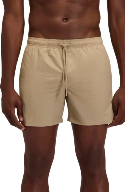 Sundek Solid Swim Trunks In Brown