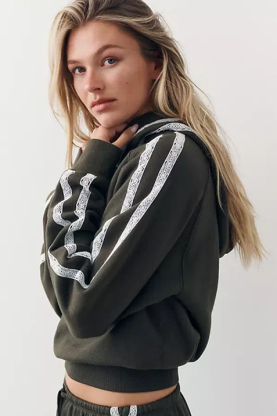 Sundry 100% Cotton Long-sleeve Cropped Hoodie In Green