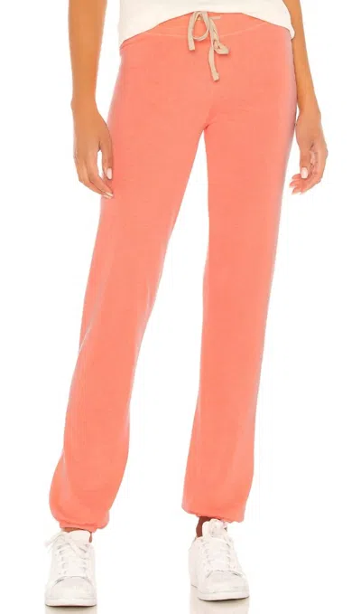 Sundry Basic Sweatpant In Tangerine Orange In Multi