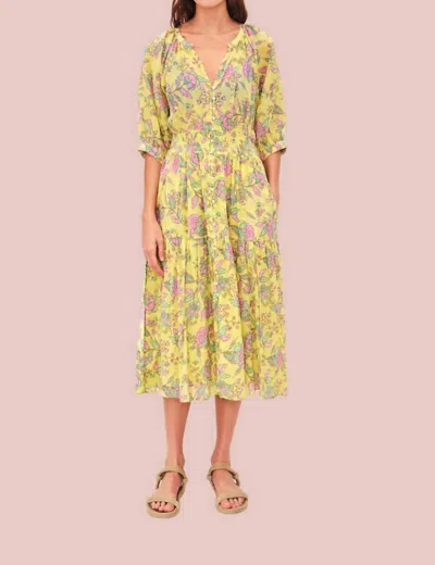 Sundry Button Down Midi Dress In Yellow/pink Floral In Multi