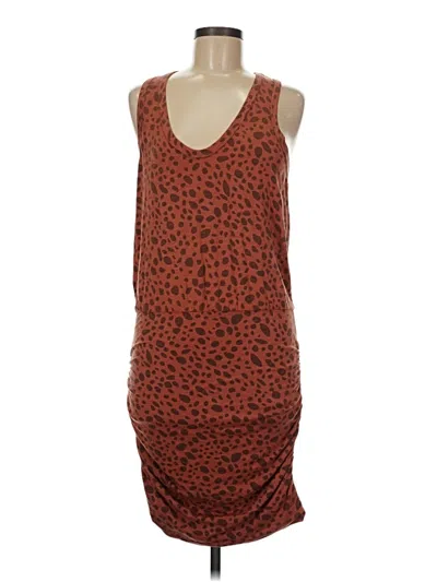 Pre-owned Sundry Casual Dress In Brown