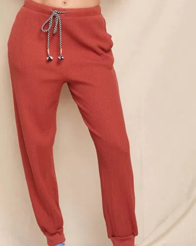 Sundry Drawstring Waffle Knit Jogger In Burnt Brick In Orange