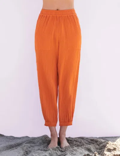Sundry Easy Pocket Pant In Poppy In Orange