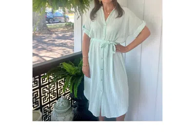 Sundry Gauze Shirt Dress In Mint In Green