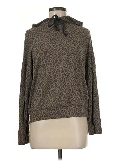 Pre-owned Sundry Pullover Sweater In Brown