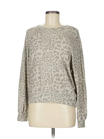 Pre-owned Sundry Pullover Sweater In Gray