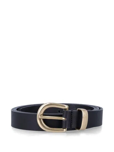Sunflower Belt