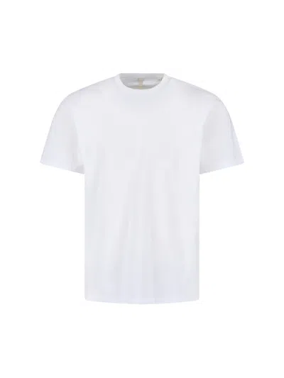 Sunflower Graphic 100% Cotton T-shirt For Men In White