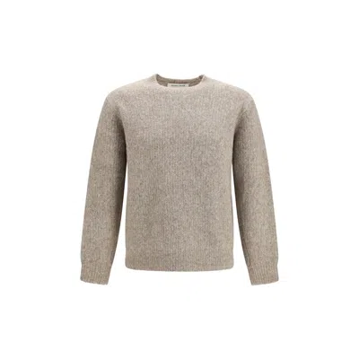 Sunflower Gray Alpaca Vicugna Pacos Sweatshirt