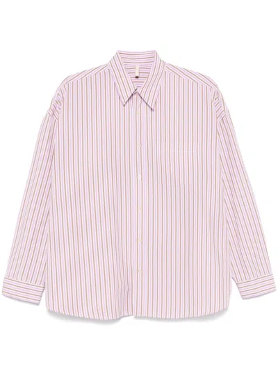 Sunflower Light Pink Cotton Shirt