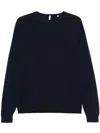 Sunflower Merino Wool Top In Blue