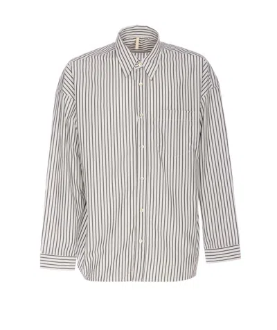 Sunflower Striped Long Sleeve Button Down Shirt In Multi