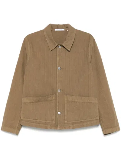 Sunflower Striped Jacket In Brown