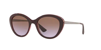 Sunglass Hut Collection Woman Sunglass Hu2018 In Burgundy
