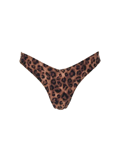 Sunkissed Women's Black / Brown Le Sporty Bottom - Leopard