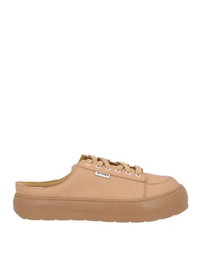 Sunnei Man Sneakers Camel Size 10 Leather In Brown
