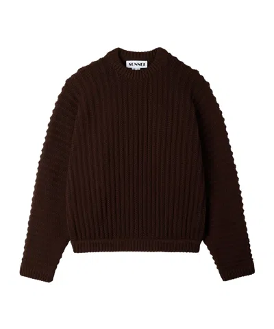 Sunnei Round Neck Sweater In Braun